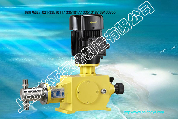 柱塞式計(jì)量泵