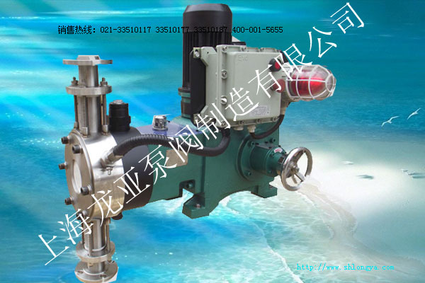 JM-ZB系列液壓隔膜式計(jì)量泵,雙隔膜計(jì)量泵,報(bào)警裝置計(jì)量泵